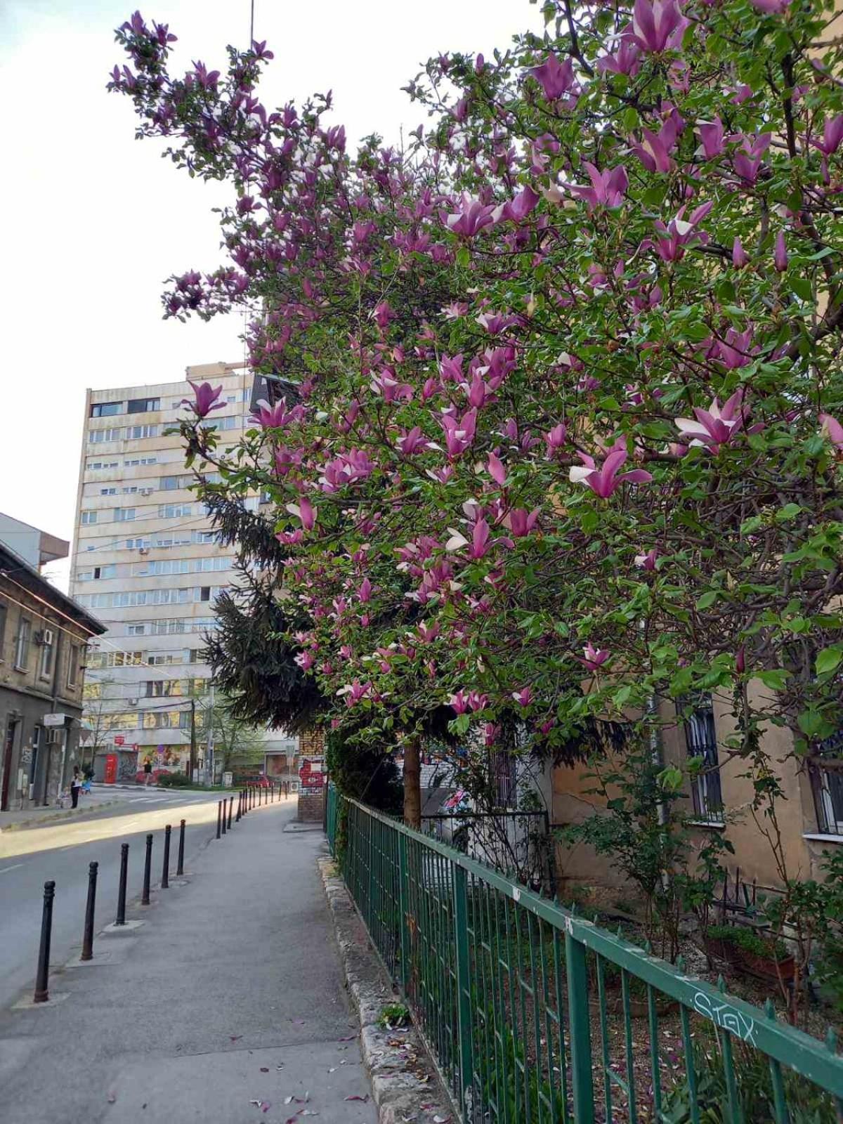 Hansa Apartment Sarajewo Zewnętrze zdjęcie